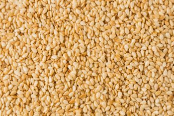 360_F_223134647_aQn5lLKJT1FG38z8eYDRb8oe46Y0AbAb