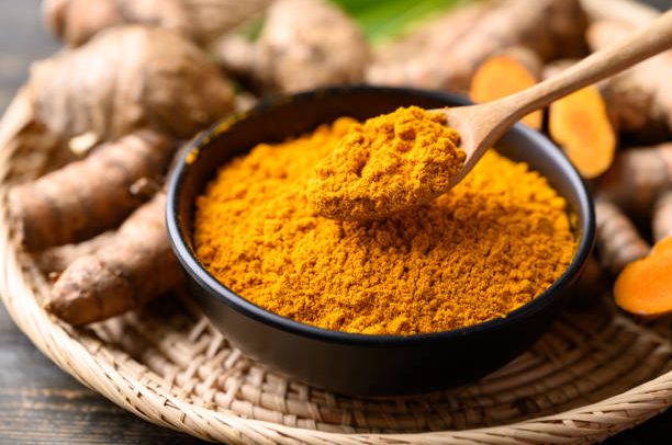 Turmeric powder and fresh turmeric (Curcuma, curcumin), Organic ingredient in Asian cuisine, food coloring or natural dyeing